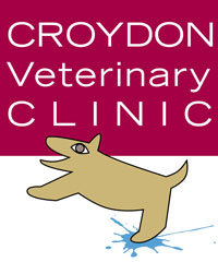 Croydon-Vet-Clinic-Logo